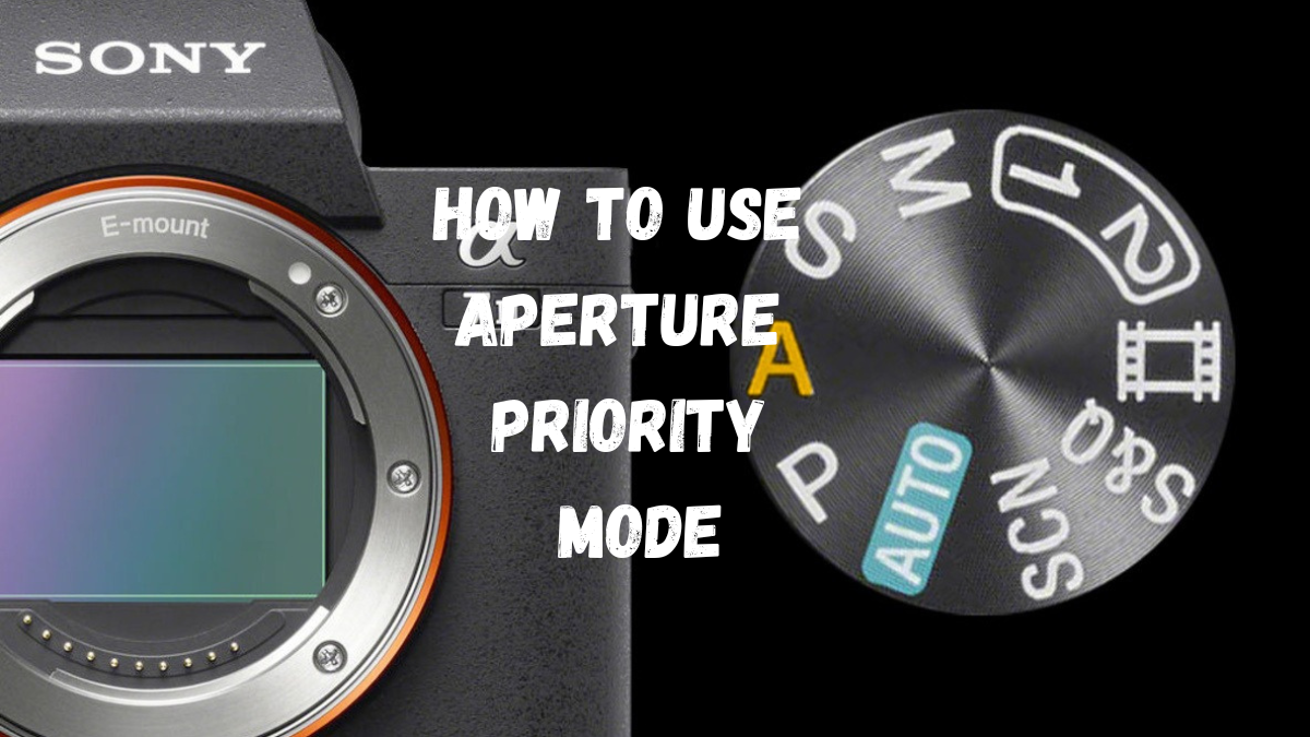 You are currently viewing How to Master Aperture Priority Mode for Stunning Photographs