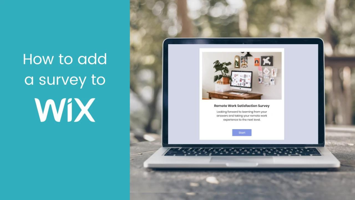 How to build a professional website with Wix's drag-and-drop editor