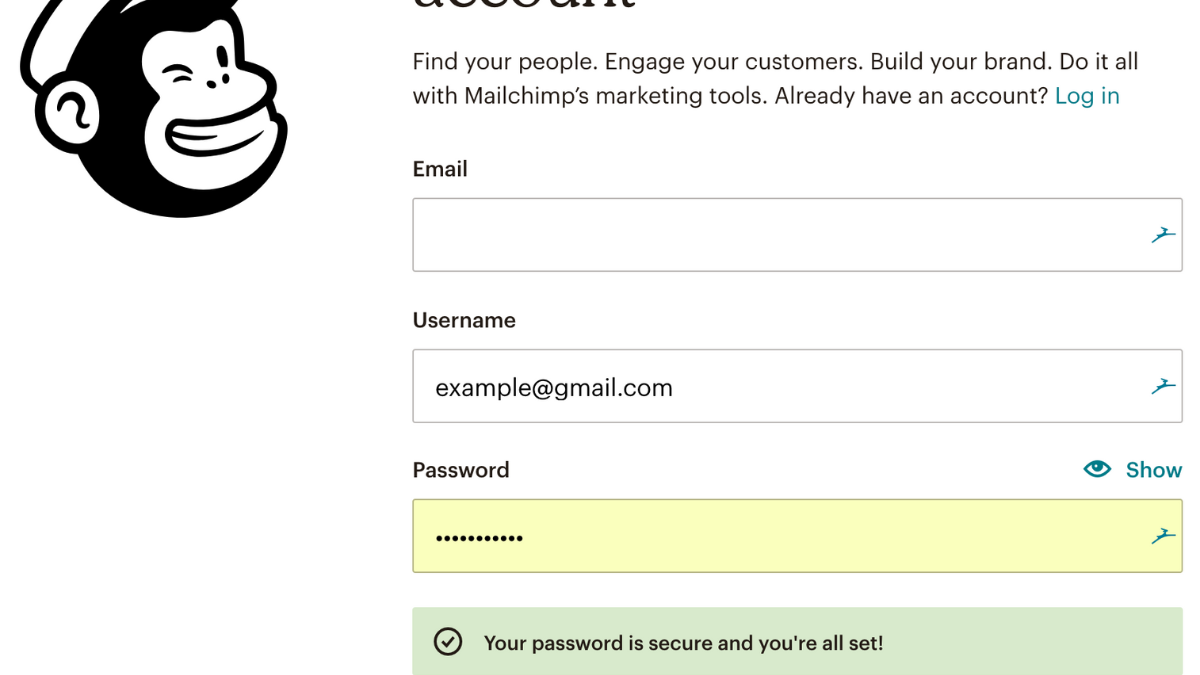 Setting Up Your Mailchimp Account